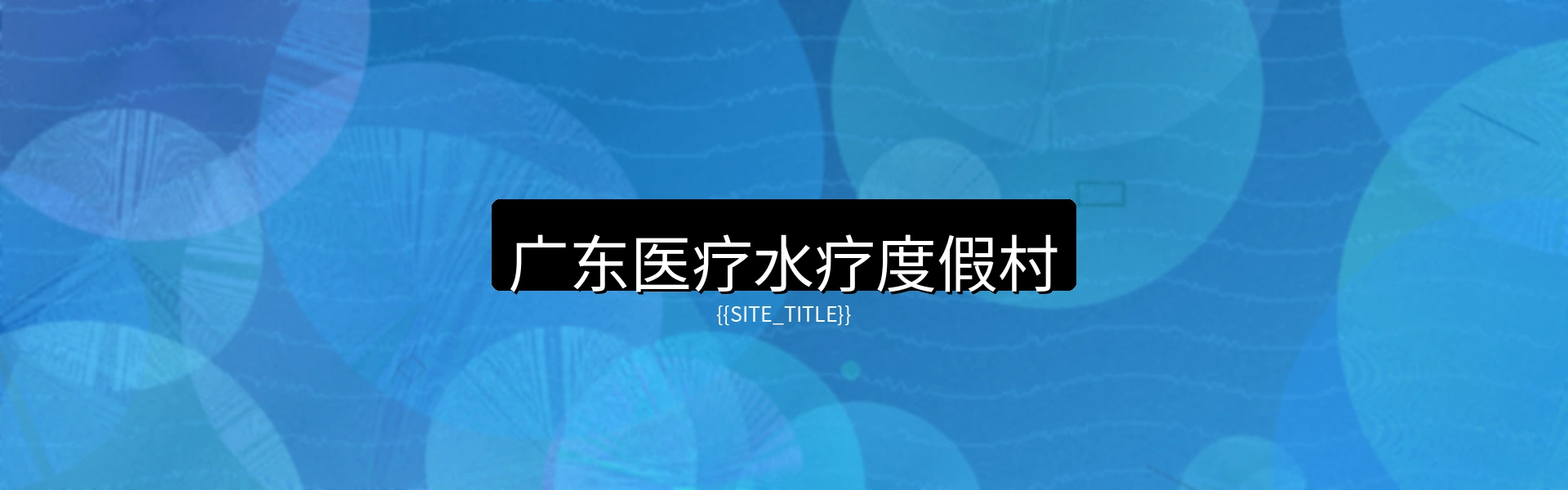 广东医疗水疗度假村全景鸟瞰图